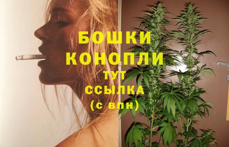 Конопля SATIVA & INDICA  мега вход  Зубцов  продажа наркотиков 